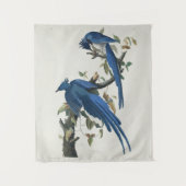 Audubon Columbia Jay zwart keel ekster Jay Wandkleed (Voorkant)