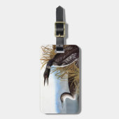 Audubon: Common Loon Bagagelabel (Voorkant verticaal)