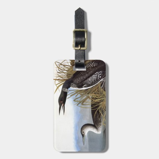 Audubon: Common Loon Bagagelabel (Voorkant verticaal)