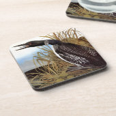 Audubon: Common Loon Bier Onderzetter (Linkerzijde)