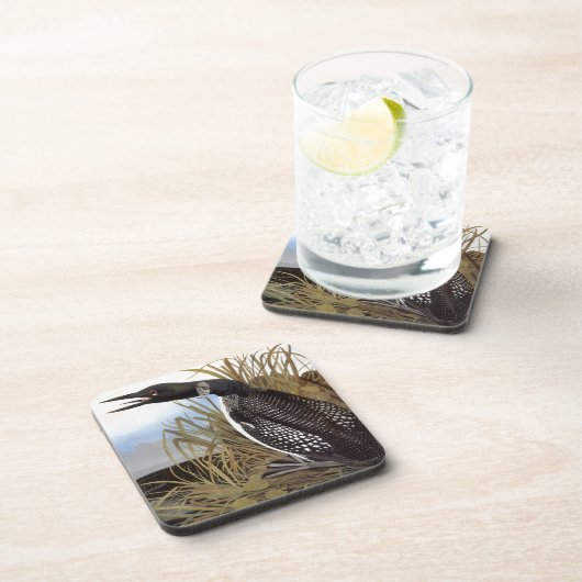 Audubon: Common Loon Bier Onderzetter (Rechterzijde)