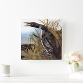 Audubon: Common Loon Vierkante Klok (Huis)