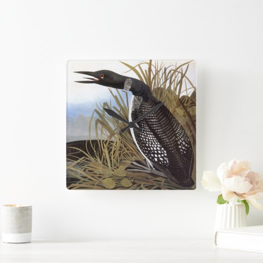Audubon: Common Loon Vierkante Klok (Huis)