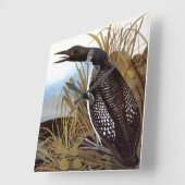 Audubon: Common Loon Vierkante Klok (Hoek)