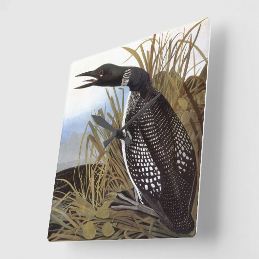 Audubon: Common Loon Vierkante Klok (Hoek)