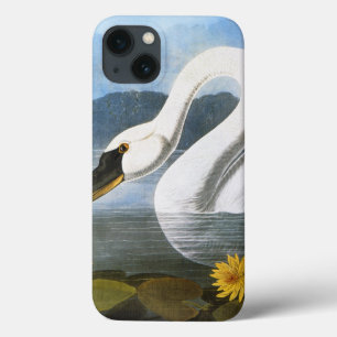 Audubon: Common Swan Case-Mate iPhone Case