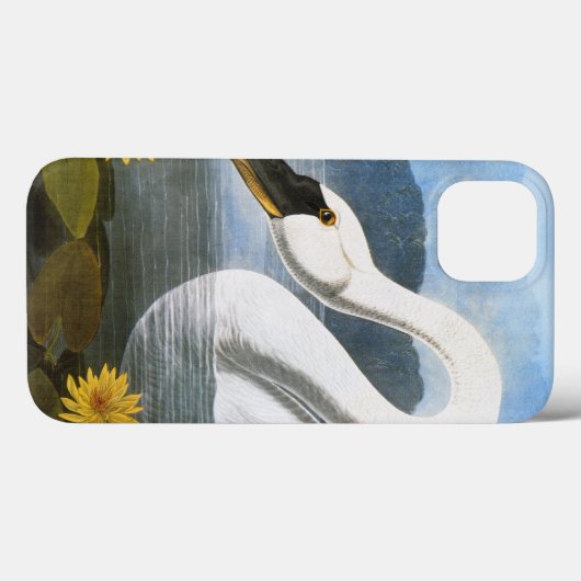 Audubon: Common Swan Case-Mate iPhone Case (Achterkant (horizontaal))
