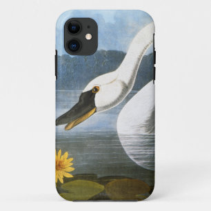 Audubon: Common Swan Case-Mate iPhone Case