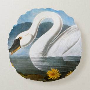 Audubon: Common Swan Rond Kussen