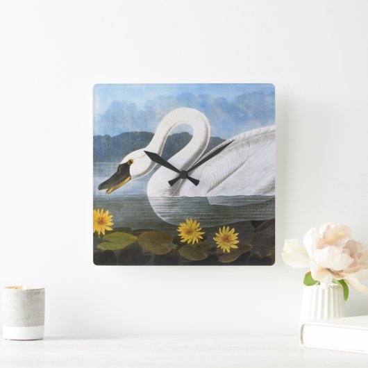 Audubon: Common Swan Vierkante Klok (Huis)