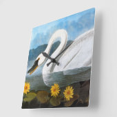 Audubon: Common Swan Vierkante Klok (Hoek)