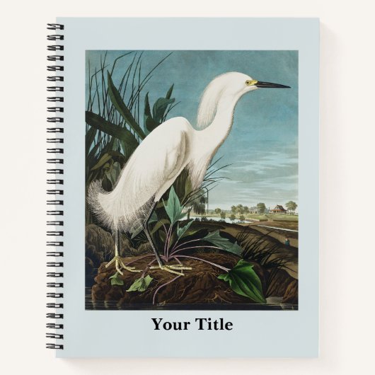 Audubon Crane Historical Wildlife Drawing Notitieboek (Voorkant)
