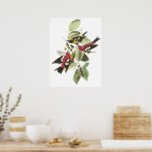 Audubon Crossbill Poster (Keuken)