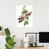 Audubon Crossbill Poster (Thuiskantoor)