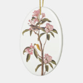 Audubon Cuvier's Kinglet Mystery Bird Keramisch Ornament (Links)