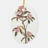 Audubon Cuvier's Kinglet Mystery Bird Keramisch Ornament (Voorkant)