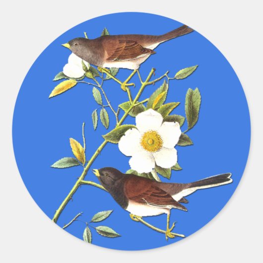 Audubon Dark Eyed Junco Bird Art Stickers (Voorkant)