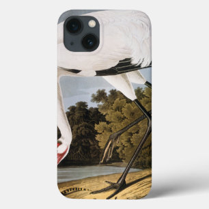 Audubon: De Kraan van Whooping Case-Mate iPhone Case
