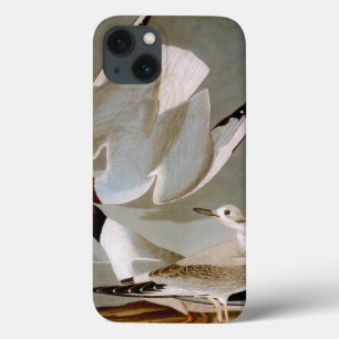 Audubon: De Zeemeeuw van Bonaparte Case-Mate iPhone Case