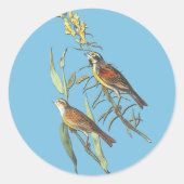 Audubon Dickcissel Bird Art Stickers (Voorkant)