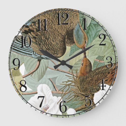 Audubon Dove Bird Animal Willife Wall Clock Grote Klok (Voorkant)