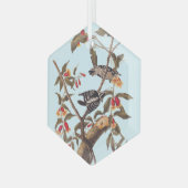 Audubon Downy Woodpecker Couple met Flowers Glas Ornament (Voorkant links)