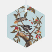 Audubon Downy Woodpecker Couple met Flowers Glas Ornament (Achterkant)