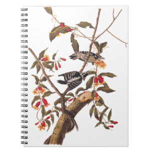 Audubon Downy Woodpecker Couple met Flowers Notitieboek
