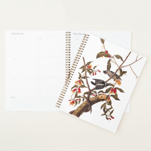 Audubon Downy Woodpecker Couple met Flowers Planner (Display)