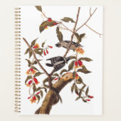 Audubon Downy Woodpecker Couple met Flowers Planner (Voorkant)