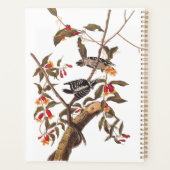 Audubon Downy Woodpecker Couple met Flowers Planner (Achterkant)