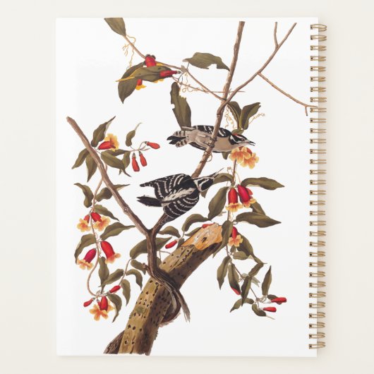 Audubon Downy Woodpecker Couple met Flowers Planner (Achterkant)