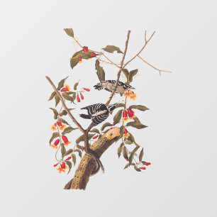 Audubon Downy Woodpecker Couple met Flowers Raamsticker