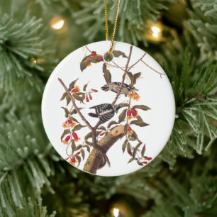 Audubon Downy Woodpecker Pair Keramisch Ornament