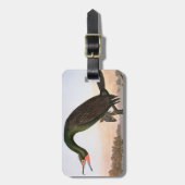 Audubon: Dubbele Crested Cormorant Bagagelabel (Voorkant verticaal)