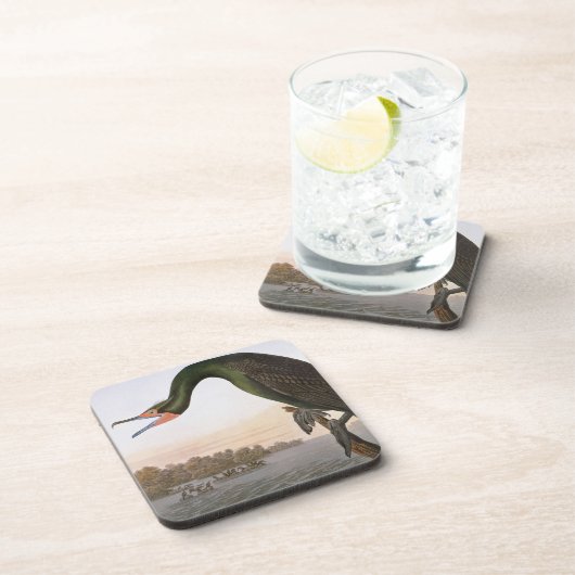 Audubon: Dubbele Crested Cormorant Bier Onderzetter (Rechterzijde)