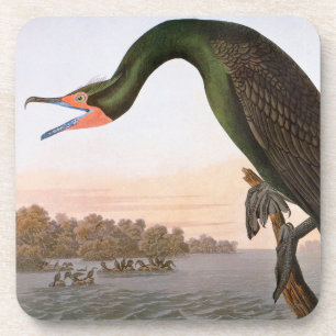 Audubon: Dubbele Crested Cormorant Bier Onderzetter