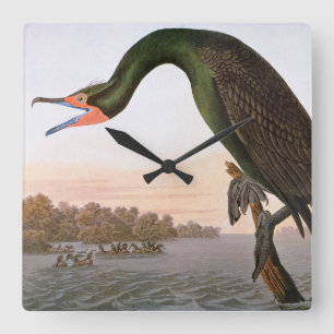 Audubon: Dubbele Crested Cormorant Vierkante Klok