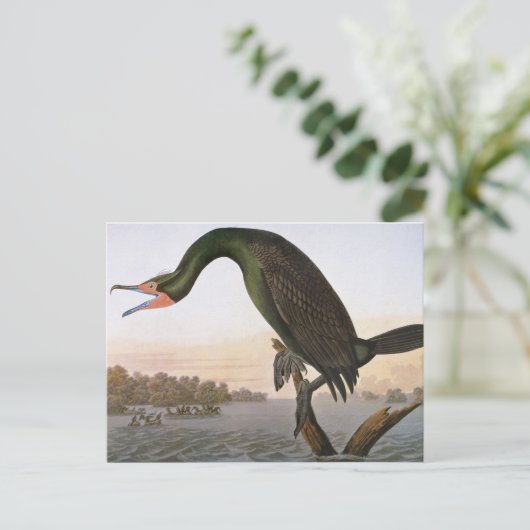 Audubon: dubbelvoudig aangemaakte aalscholver briefkaart (Staand voorkant)