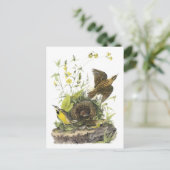 Audubon Eastern Meadowlard Briefkaart (Staand voorkant)