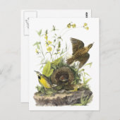 Audubon Eastern Meadowlard Briefkaart (Voorkant / Achterkant)