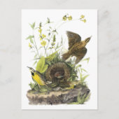Audubon Eastern Meadowlard Briefkaart (Voorkant)