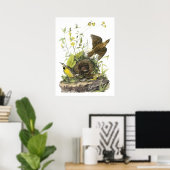 Audubon Eastern Meadowlard Poster (Thuiskantoor)