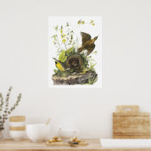 Audubon Eastern Meadowlard Poster (Keuken)