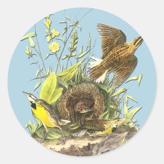 Audubon Eastern Meadowlark Bird Art Stickers (Voorkant)