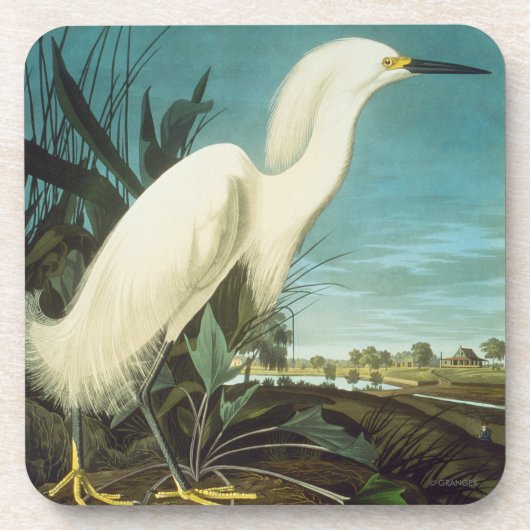 Audubon: Egret Bier Onderzetter (Voorkant)