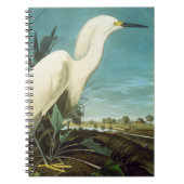 Audubon: Egret Notitieboek (Voorkant)