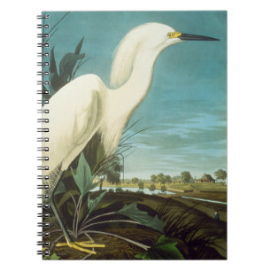 Audubon: Egret Notitieboek