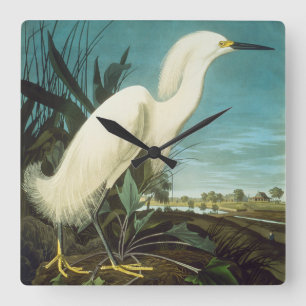 Audubon: Egret Vierkante Klok