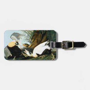 Audubon: Eider Duck Bagagelabel
